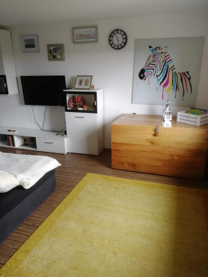 Issy View House Villa Senovo Exterior photo