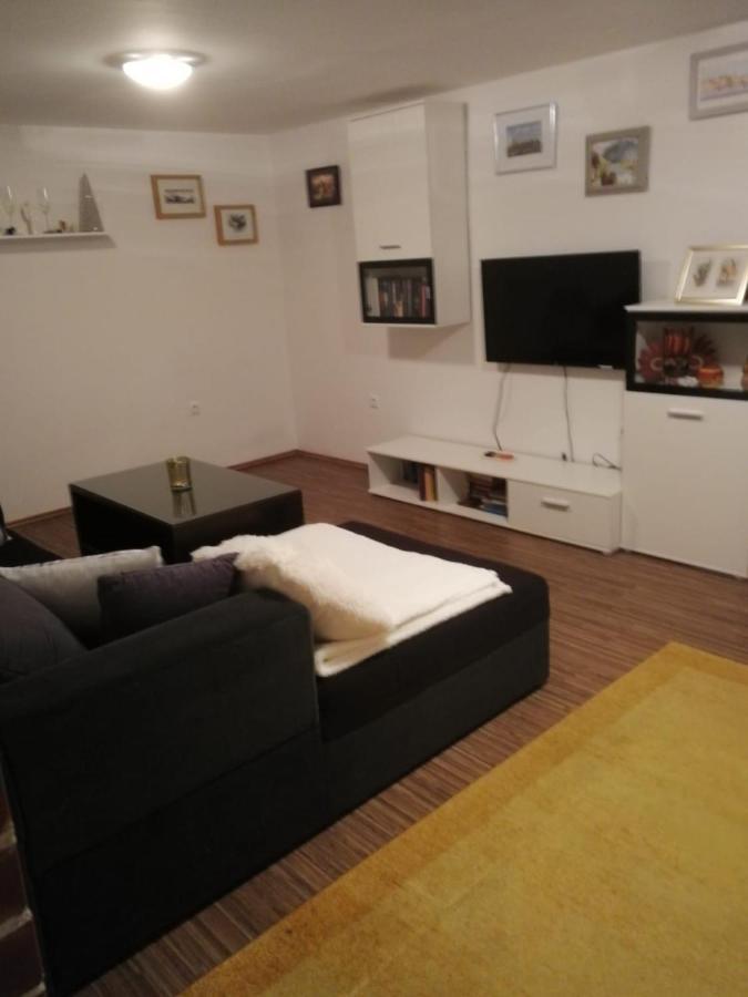 Issy View House Villa Senovo Exterior photo